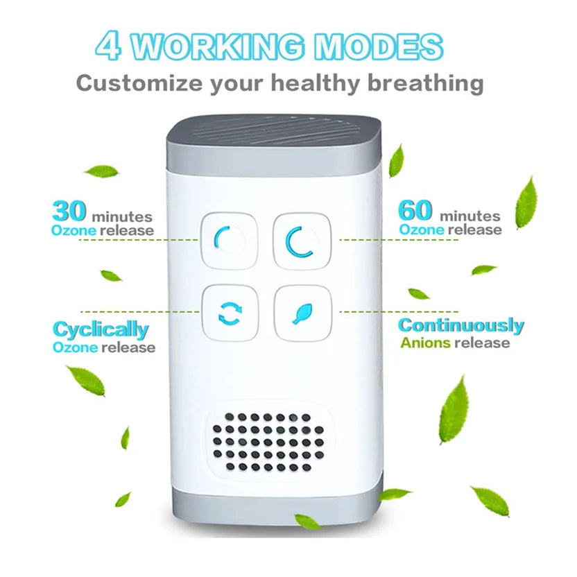 Weltura Purita - 15 Minutes to Banish Allergens and Dust Mites for a Healthier Home